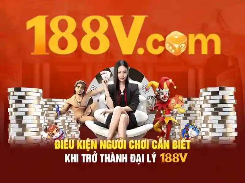 Phản hồi từ người dùng và cộng đồng