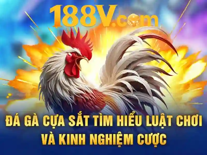 Khởi nguồn và sứ mệnh của 188v rút tiền