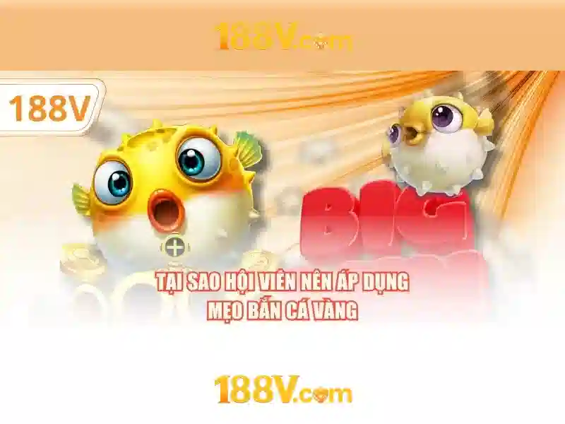 Kết luận