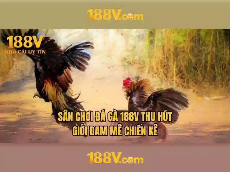 Nhu cầu kiểm định và chuẩn hóa 188V