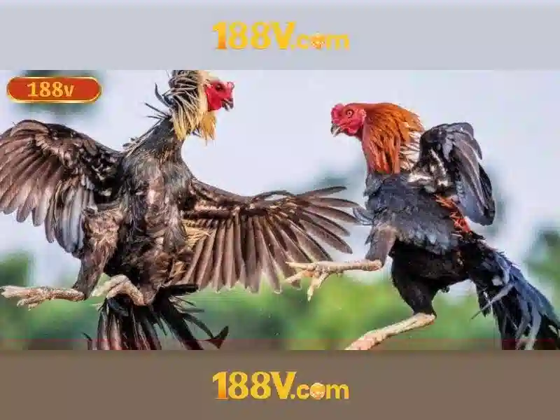 Những liên tưởng văn hóa và xã hội