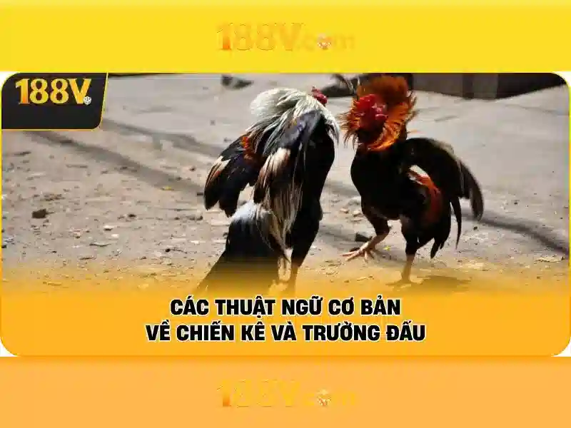 Định nghĩa và ý nghĩa của 188V