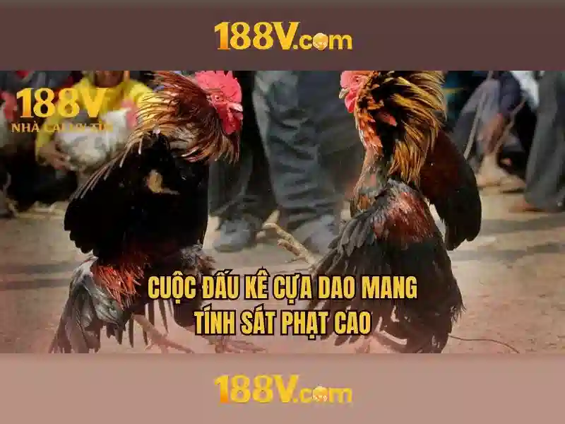 Mẹo chơi bắn cá 3 cây dễ ăn tiền nhà cái