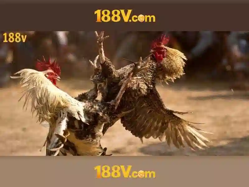 Mẹo chơi bắn cá 3 cây dễ ăn tiền nhà cái