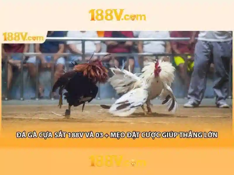 Nguồn gốc và tiêu chuẩn