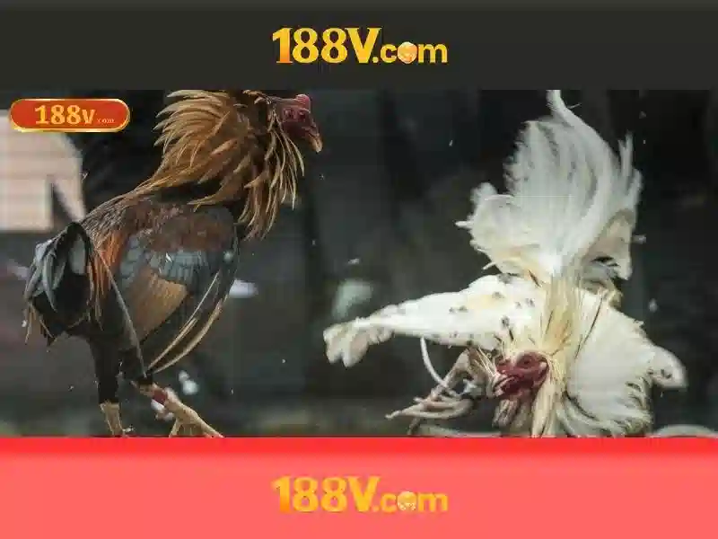 188V: Hiểu rõ điện áp và nguồn cảm hứng công nghệ