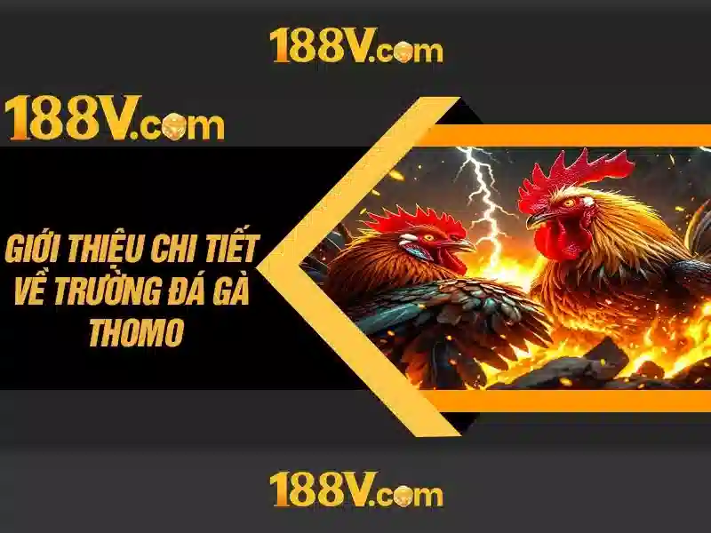 Giới thiệu về 188v