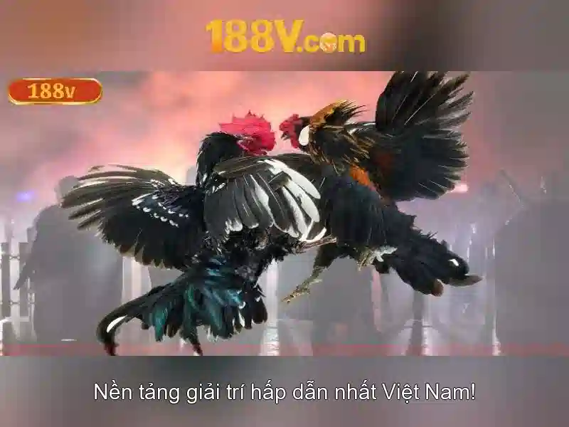 Ví dụ thực tế và trải nghiệm người dùng