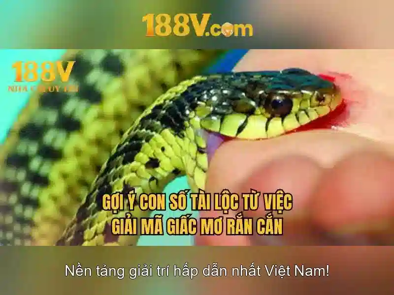 Nguồn gốc và đặc điểm của 188v