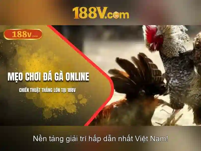 Hướng dẫn 188v – Tổng quan chủ đề và giá trị cốt lõi