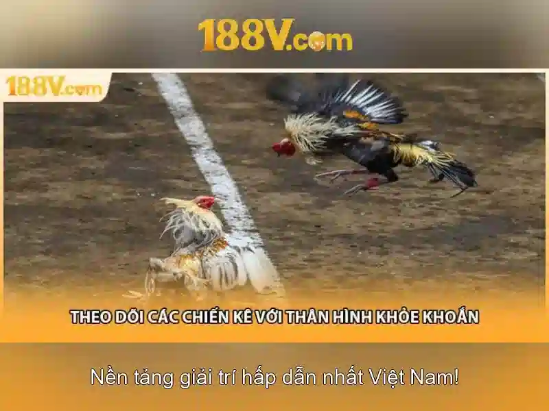 Phương pháp và ứng dụng thực tế