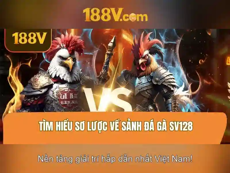 Cấu trúc của 188v: sự giao thoa giữa con người và công nghệ