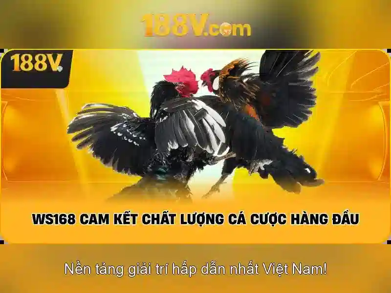 Mẹo chơi bắn cá 3 cây dễ ăn tiền nhà cái