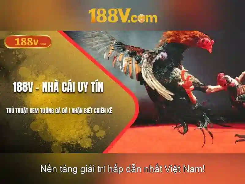 188v và sự huyền bí của folio cổ