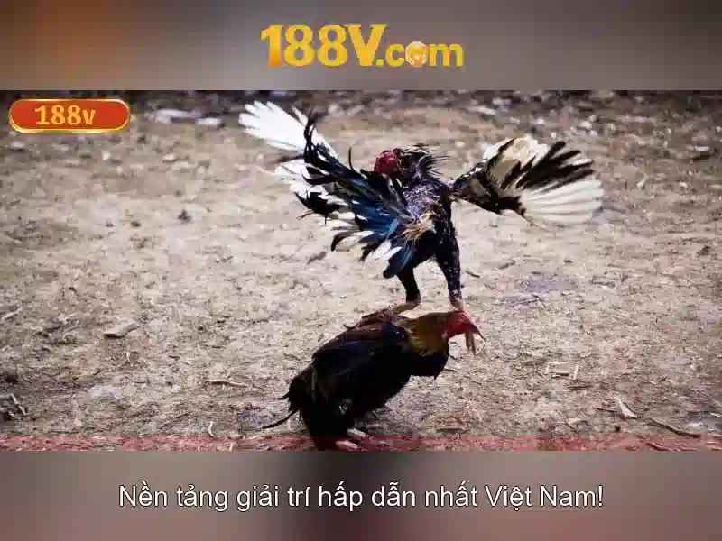 Mẹo chơi bắn cá 3 cây dễ ăn tiền nhà cái
