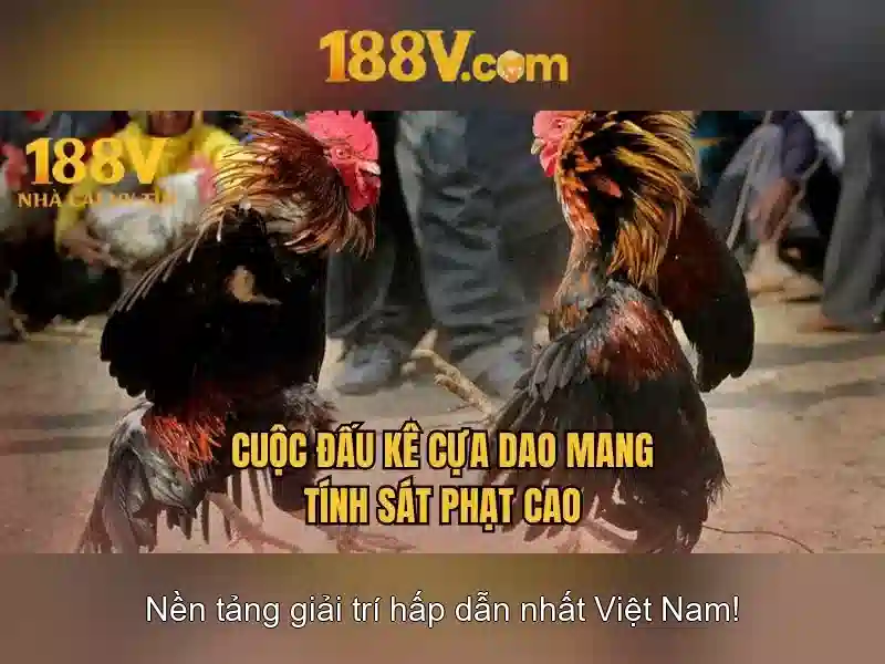Khai thác và ứng dụng của 188v