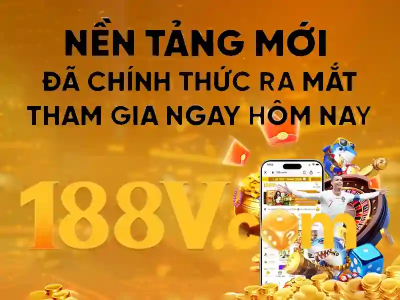 Phản hồi người dùng và cộng đồng