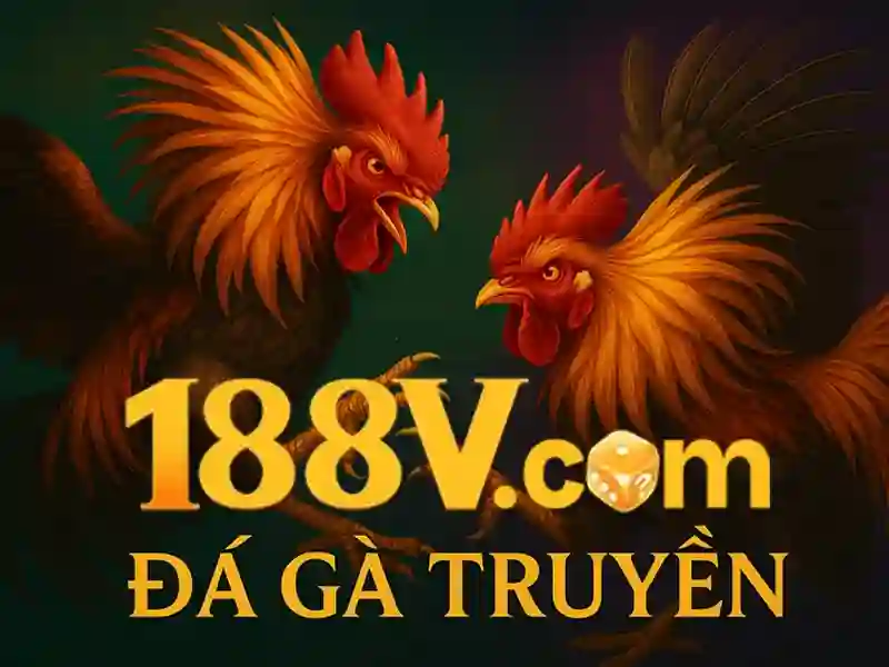 Tóm tắt và lời mời trải nghiệm