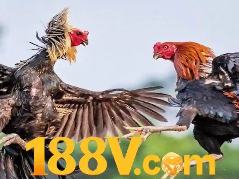 Sản phẩm và dịch vụ cốt lõi