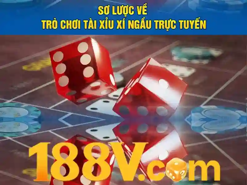 Trải nghiệm người dùng và phản hồi từ cộng đồng