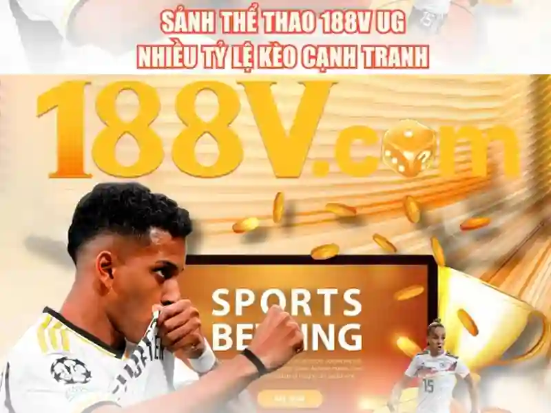 Trải nghiệm người dùng và phản hồi từ cộng đồng  </b></h2>